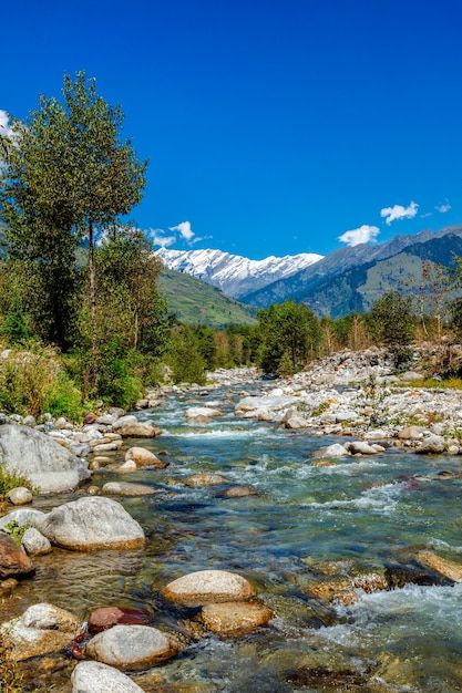 India, Nature, Connective Tissue Disorder, Himachal Pradesh, Premium Photo, A Series, Beautiful Places, Conditioner, Medical