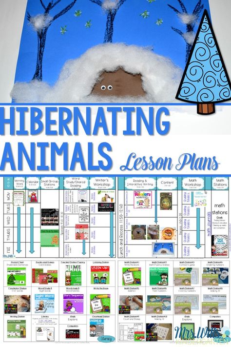 Hibernating Animals Lesson Plans! You will find ideas and lessons for teaching about animals in winter! Fun activities, reading lessons for The Bear Snores On, crafts and more! Ideas for centers that will keep your kids engaged! Winter Fun Activities, Hibernation Preschool Activities, Hibernation Preschool, Hibernation Activities, Hibernating Animals, Happy Playlist, Animals In Winter, Winter Lesson Plan, Animals That Hibernate