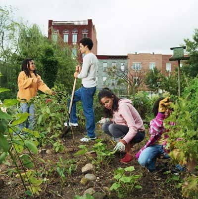 Trelleborg, Permaculture, Garden Organization, Farm Landscape, Volunteer Projects, Community Gardens, Community Garden, Food Shopping, Middle Schoolers