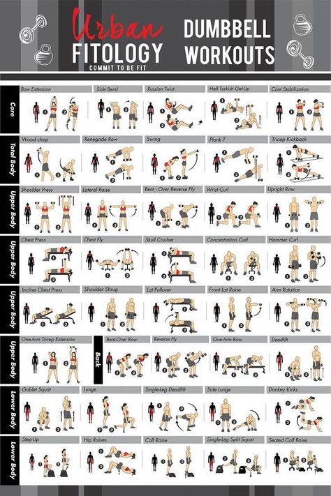 Perfect Workout Routine, Darebee Workout, Dumbbell Workout Routine, Dumbbell Workout Plan, Dumbbell Exercise, Dumbbell Workout At Home, Full Body Dumbbell Workout, Fitness Guide, Dumbell Workout