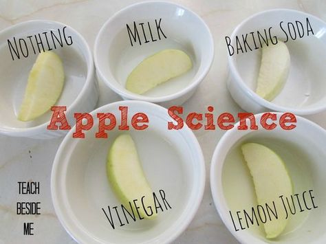 apple science experiment Third Grade Science Fair Projects, Middle School Science Fair Projects, Apple Science Experiments, Easy Science Fair Projects, Apple Science, Vetenskapliga Experiment, Science Fair Experiments, Science Experience, Chemical Science