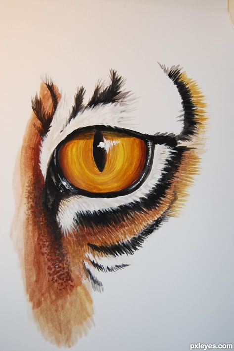 Drawing Guide - The Making Of THe Eye of the Tiger - Pxleyes.com Animal Drawings In Color, Eyes Animals Drawing, Paintings Of Tigers, Tiger Color Pencil Drawing, Eye Of A Tiger, Tiger Eyes Paintings, Drawing Animal Eyes Step By Step, Animals Eyes Drawing, Drawing Ideas Tiger
