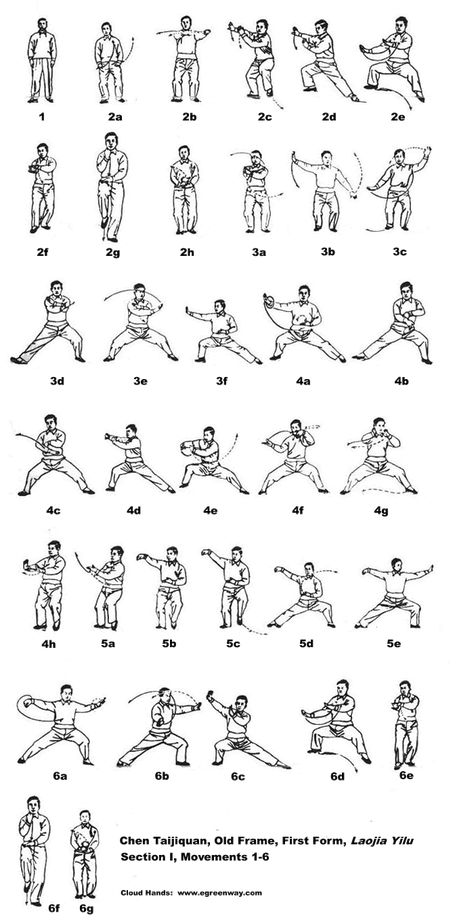 Chen Taijiquan, Old Frame, Second Form, Cannon Fist, Laojia Erlu, Section I, Movements 1-5: Descriptions, Illustrations, Commentary, Notes, Instructions Tai Chi Movements, Tai Chi Moves, Qui Gong, Martial Arts Sparring, Tai Chi For Beginners, Wu Wei, Tai Chi Exercise, Chi Gong, Trening Sztuk Walki