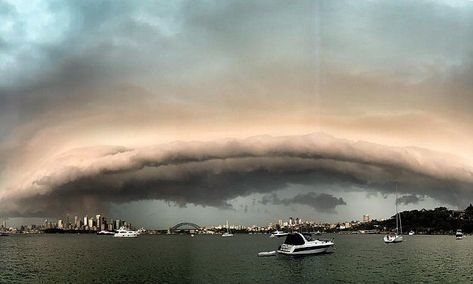 Australia: Wild weather has rolled into Sydney just before 6pm on Saturday, with a spectacular lightening show and ear deafening thunder rocking the harbour city. Supernatural, Amazing Nature, Solar Eclipse, Nature, Lightning And Thunder, Wild Weather, Lightning Storm, Natural Phenomena, Mother Earth