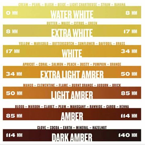 Pfund scale for honey Honey Tasting, Colour Scale, Bee Facts, Types Of Honey, Bee Hive Plans, Honey Label, Backyard Beekeeping, Color Scale, Natural Honey