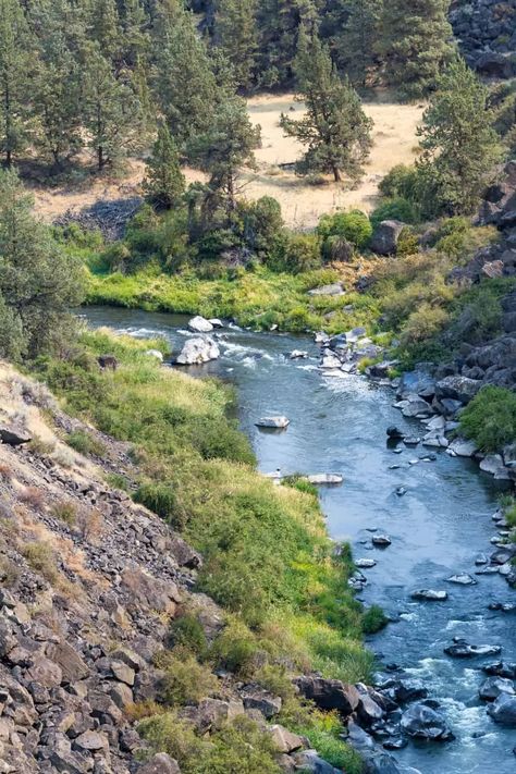 Fishing Tips, La Grande Oregon, Oregon Fishing, Dream Water, Fly Fishing Flies Trout, Salem Oregon, River Fishing, Best Fishing, Cool Landscapes