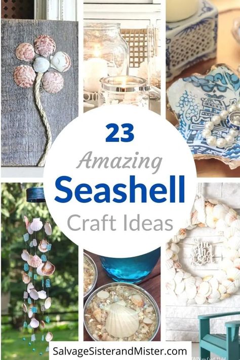 Create beautiful DIY seashell crafts to decorate your home for summer, or in a popular coastal theme. These 23 ideas are a great way to put those shells to good use. #seashellcrafts #salvagesisterandmister Summer Crafts For Adults, Diy Seashell Crafts, Seashell Art Diy, Beach Crafts Diy, Sea Shells Diy, Beach Themed Crafts, Deco Marine, Oyster Shell Crafts, Shells Diy