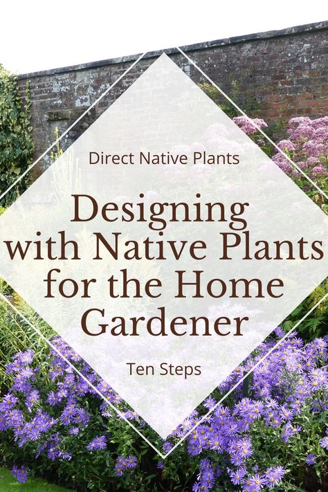 Curious about designing a garden using native plants? Here's how! How To Plant A Native Garden, Landscaping With Native Plants, Pnw Native Garden Design, Southeast Native Plants, Native Plant Garden Design, Native Garden Design, Designing A Garden, Native Plant Garden, Sustainable Landscape