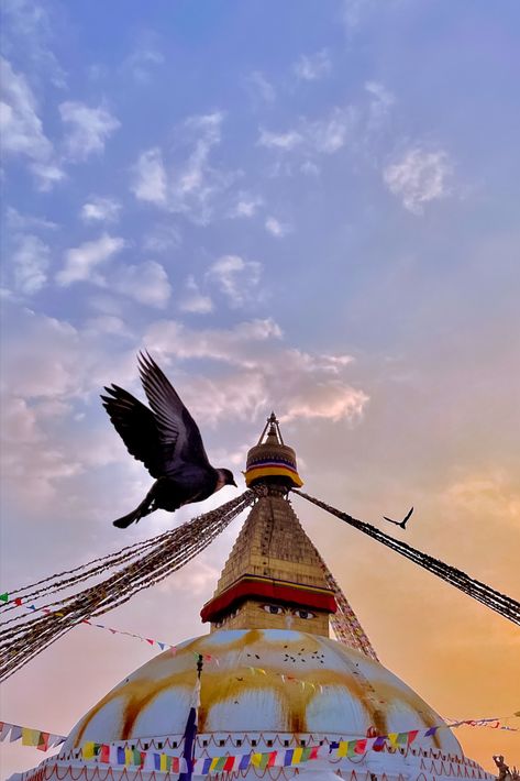 Boudhanath Stupa, a magnificent Buddhist monument in Kathmandu, Nepal. It is one of the largest and ancient stupas in the world and holds great cultural and religious significance. The stupa is adorned with colorful prayer flags and surrounded by shops, monasteries, and cafes. - a must visit attraction in Kathmandu! Boudhanath Stupa, Birds In The Sky, Prayer Flags, Kathmandu Nepal, Light Background Images, Clear Sky, Light Background, Sky Photography, Heritage Site