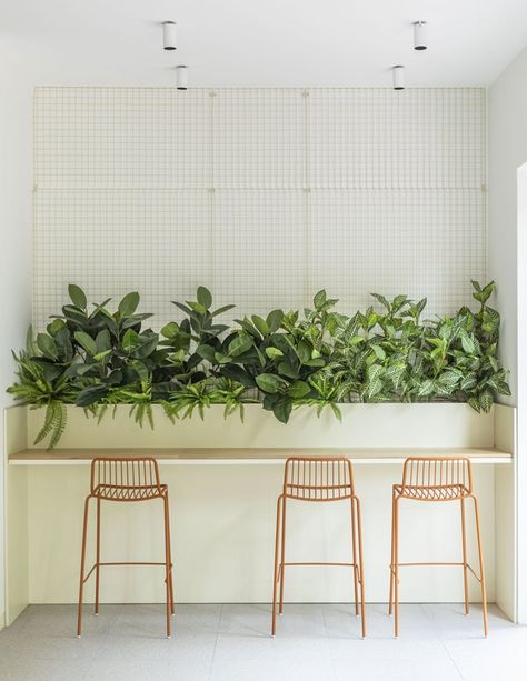 Coffee Shop With Plants, Office Snack Ideas, Plants On Table, Cafe Plants, Bistro Interior, Plant Troughs, Plant Walls, Thai Cafe, Cafeteria Design