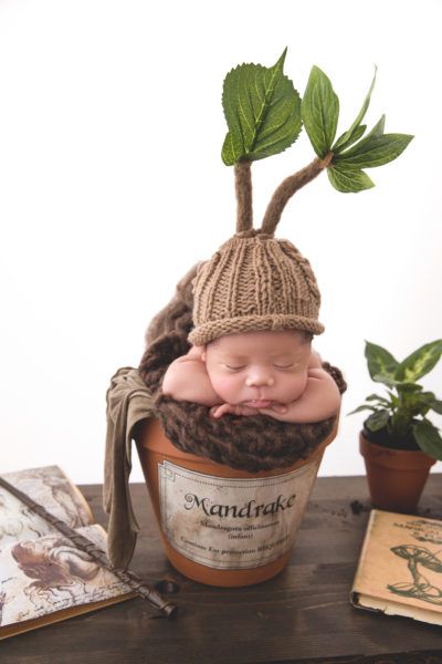 how to convert a plain knit hat into a baby mandrake hat from Harry Potter for newborn photos Mandrake Newborn Photo, Mandrake Photo Shoot, Harry Potter Newborn Photos, Newborn Photography Harry Potter, Harry Potter Photoshoot Ideas At Home, Newborn Photography Theme Ideas, Newborn Harry Potter Photoshoot, Harry Potter Aesthetic Bedroom Ideas, Harry Potter Newborn Photography