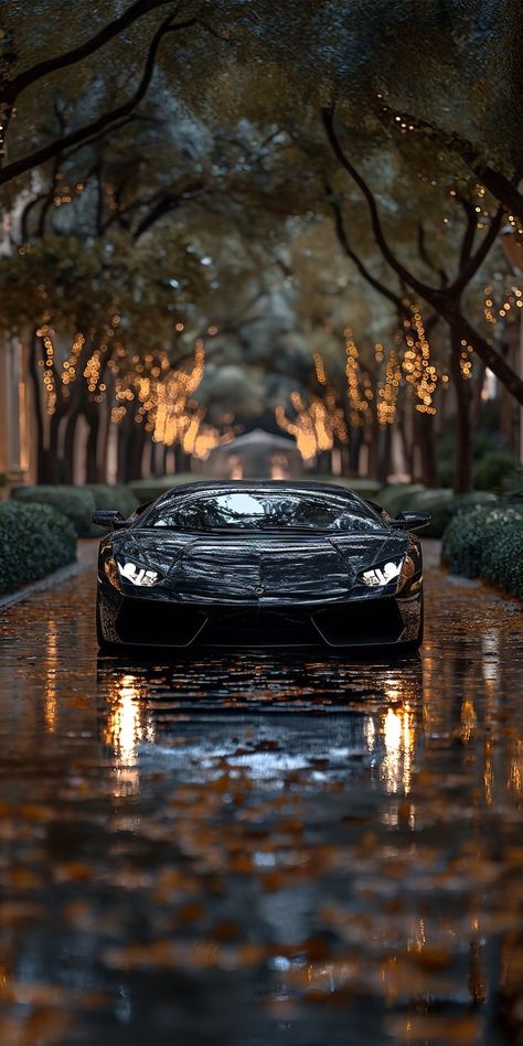 In the autumn, a Lamborghini Aventador. Most Expensive Sports Car, Lamborghini Aventador Wallpaper, Sports Cars Bugatti, Expensive Sports Cars, Бмв X6, Mustang Wallpaper, Mobil Drift, Cool Car Pictures, Bugatti Cars