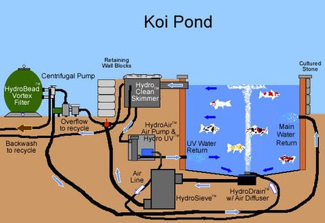 Ponds Ideas, Koi Pond Backyard, Fish Ponds Backyard, Diy Ponds Backyard, Koi Pond Design, Fish Pool, Kolam Koi, Fish Pond Gardens, Taman Air