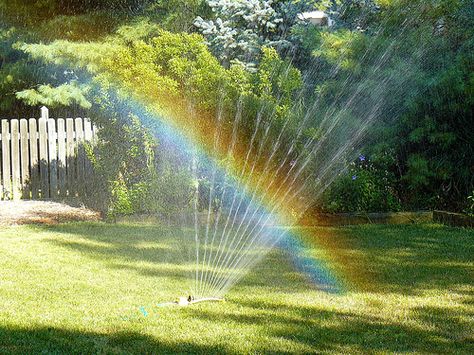 Playing in the sprinkler in the yard to keep cool on the hot summer days. Tumblr, Nature, Memories Aesthetic, Childhood Aesthetic, Nostalgia 2000s, 2010s Nostalgia, Toro Inoue, Nostalgia Core, Nostalgic Pictures