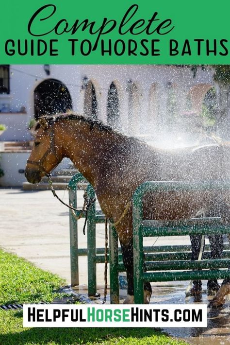 There are three main types of baths you could give your horse. They are hot toweling, rinsing off and a full bath. In this article we give complete instructions for each type of horse bath. Horse Bathing Station, Horse Maintenance, Horse Bath, Stable Management, Horseback Riding Tips, Horse Washing, Riding Tips, Heath Care, Horse Care Tips