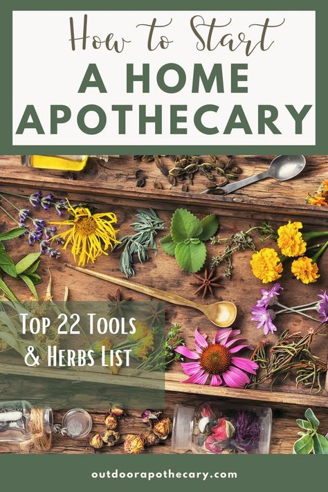 Herbal Apothecary List, Medicinal Herbs Remedies How To Make, Plant Remedies Herbal Medicine, Healing Plants Medicine, How To Start A Home Apothecary, Apothecary Start Up, Medicinal Plant Garden Design, Medicine Garden Healing Herbs, Herbs To Grow For Medicine