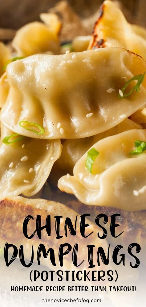 Chicken Chinese Dumplings, Homemade Dumplings Recipe Chinese, Chinese Fried Dumplings, Chinese Wontons Recipes, Steamed Chinese Dumplings, Pork Steamed Dumplings, Diy Chinese Dumplings, Simple Dumpling Filling, Buzz Feed Tasty Recipes