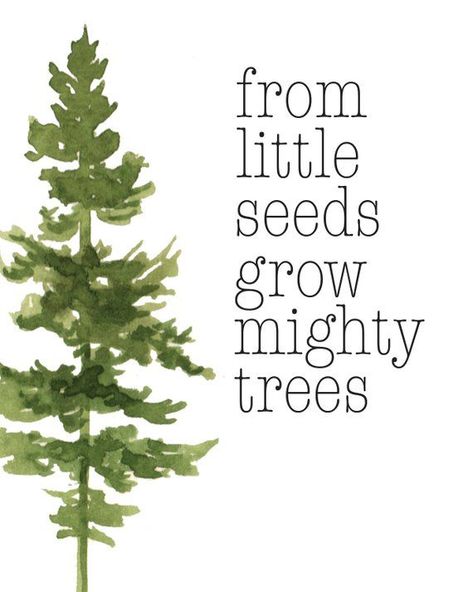 From Small Seeds Grow Mighty Trees, Tree Quotes, Tree Watercolor, Tree Art, Tree Print, Green, Green Check more at http://decoration.stream/from-small-seeds-grow-mighty-trees-tree-quotes-tree-watercolor-tree-art-tree-print-green-green/ Pallet Tree, Growing Quotes, Tree Quotes, Green Quotes, Plants Quotes, Tree Watercolor, Save Trees, Watercolor Tree, Garden Quotes