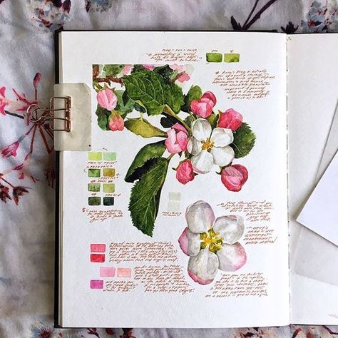 Kunstjournal Inspiration, Botanical Sketchbook, Sketchbook Layout, Gcse Art Sketchbook, A Level Art Sketchbook, Illustration Botanique, Color Study, Flower Sketches, Gcse Art