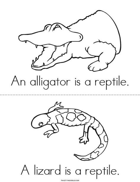 What is a reptile? Mini Book - Sheet 2 Reptiles Kindergarten, Reptile Unit Study, October Preschool Themes, Reptiles Preschool, Reptiles Activities, Amphibians Activities, Reptile Crafts, Reptile Mortal Kombat, Science Projects For Preschoolers