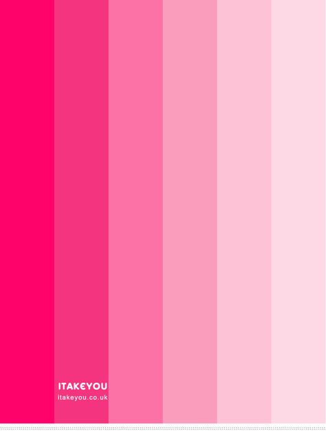 ombre pink colour scheme, ombre pink colour combo, shades of pink color combination, summer color scheme, pink color combo #pink #ombrepink #colorscheme Pink Scheme Colour Palettes, Pink Shades Color Colour Palettes, Colors Of Pink Shades, Pink Color Plattes, Neon Pink Color Scheme, Pink Ombre Color Palette, Shade Of Pink Palette, Barbie Pink Palette, Different Shades Of Pink Wallpaper