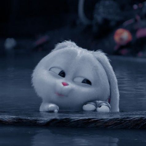 Snowball Rabbit Angry, Snowball Bunny Cute, Snowball Rabbit Cute Hd, Snowball Rabbit Cute, Snow Ball Rabbit, Secret Life Of Pets Rabbit, Snowball Bunny, Bunny Pets, Snowball Rabbit