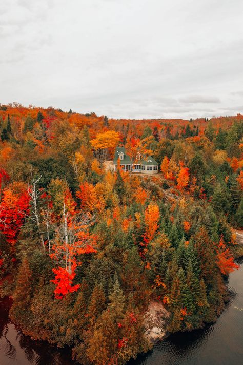 This Is One Of The Best View In All Of Quebec, Canada (17) Autumn Canada Aesthetic, Autumn In Canada Aesthetic, Fall In Quebec, Canada In Autumn, Montreal Canada Fall, Autumn In Canada, Fall Foliage Photography, Fall Canada, Canada Autumn