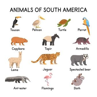 Patchwork, Pantanal, Brazil Animals, Armadillo Animal, South America Continent, South America Animals, Nature Cartoon, Spectacled Bear, Wild Animals Painting