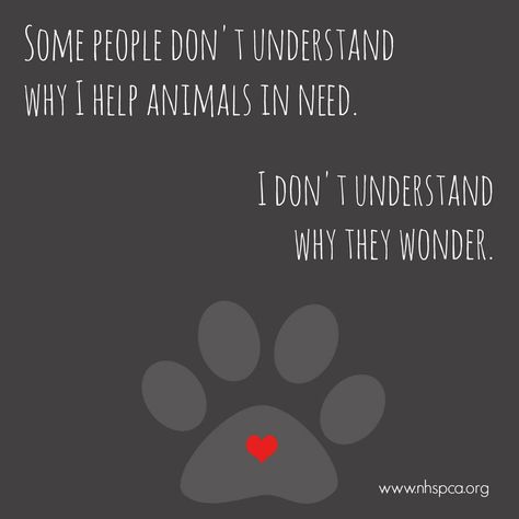 Animal lovers understand perfectly. #adopt #resuce #nhspca #loveanimals Dog Quotes, Rescue Quotes, People Dont Understand, Stop Animal Cruelty, Jolie Photo, Animal Quotes, Siberian Husky, Yorkshire Terrier, I Love Dogs