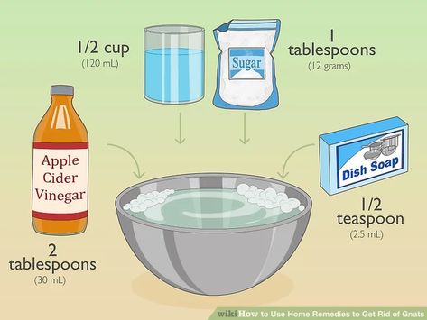 3 Ways to Use Home Remedies to Get Rid of Gnats - wikiHow Getting Rid Of Nats, Diy Gnat Trap, Gnats In House Plants, Fruit Flies In House, Get Rid Of Gnats, Apple Soap, How To Get Rid Of Gnats, Gnat Traps, Bug Spray Recipe