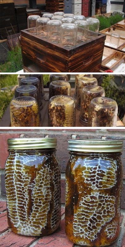 DIY Beehive Mason Jar Projects, Beehive Plans, Diy Beehive, Backyard Beehive, Bee Hives Diy, Homemade Vase, Bee Hive Plans, Backyard Bee, Backyard Beekeeping