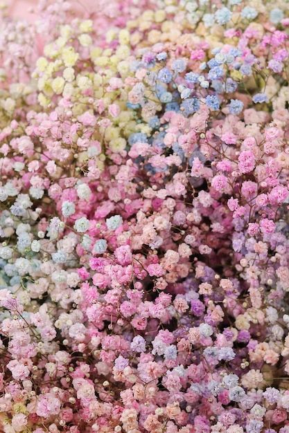 Background image of an armful colored gy... | Premium Photo #Freepik #photo #bunch #fresh-flowers #flower-bunch #bouquet Pastel, Flower Gypsophila, Bunches Of Flowers, Gypsophila Bouquet, Flowers Bunch, Flower Bunches, Filler Flowers, Flower Close Up, Flower Bunch