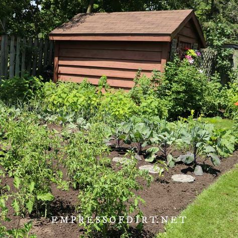 Vegetable Garden Design In Ground, Backyard Garden In Ground, Small In Ground Garden, Vegetable Garden Bed Ideas, Vegetable Garden Layout Design In Ground, In Ground Garden Layout Ideas Vegetable, In Ground Garden Ideas, In Ground Garden Design, Vegetable Garden In Ground