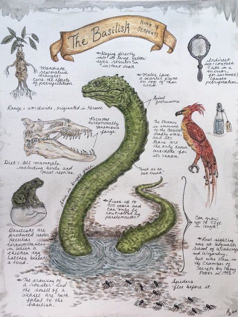 Basilisk Study by Miriam Dawn (C) 2021 #calamityforest #miriamdawn #igillustrator #artistsofinstagram #paper #illustration #instaart #naturestudy #fawkes #bookillustration #illustrator #hogwarts #instaillustration #art #freelanceillustrator #magicalcreatures #childrensbookillustration #harrypotter #chamberofsecrets #harrypotterandthechamberofsecrets #basilisk #snake #slytherin #childrensbooks #originalartwork Harry Potter Creatures, Creaturi Mitice, Harry Potter Journal, Imprimibles Harry Potter, Stile Harry Potter, Tapeta Harry Potter, Harry Potter Printables, Harry Potter Wall, Harry Potter Poster