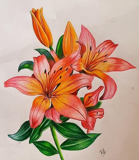 Flowers, pencil sketching, art, colourful Leaves Colored Pencil, Colour Pencil Shading Flowers, Colored Pencil Artwork Ideas Flowers, Flower Sketch Color, Flowers Pencil Color, Colour Pencil Art Flowers, Flower Pencil Drawings Colour, Colour Pencil Drawing Images, Coloured Flower Drawing