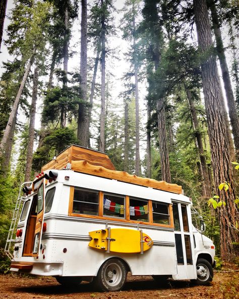 Safari Bus, Remodeled Bus, Vanlife Interiors, School Bus Camper, School Bus Tiny House, Kombi Motorhome, Old School Bus, Bus Living, Short Bus