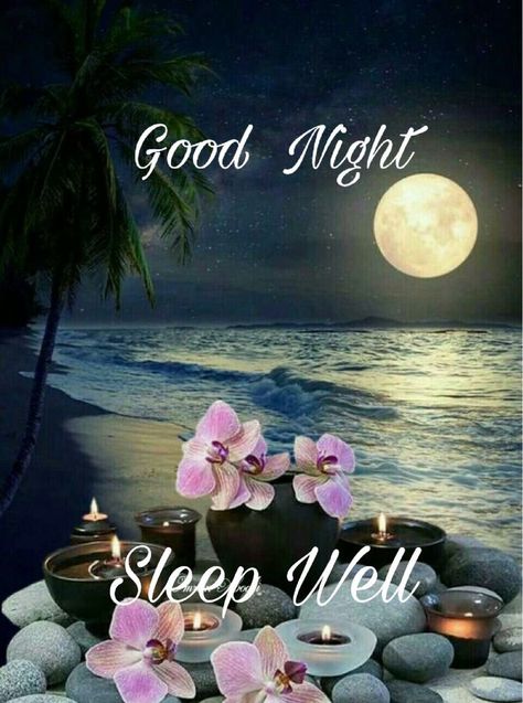 Sleep Well Good Night, Good Night Dear Friend, Good Night Sleep Well, Enjoy With Friends, Good Night Cards, Good Night Images Hd, Lovely Good Night, Good Night Massage, Good Night Funny