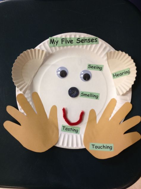 5 Senses Preschool Crafts Art Ideas, Five Senses Activity For Kindergarten, My 5 Senses Preschool Activities Fine Motor, My Senses Crafts For Preschool, 5 Senses Infant Crafts, Easy 5 Senses Activities, Our Five Senses Preschool, 5 Senses Art Project, Sensational Senses Preschool