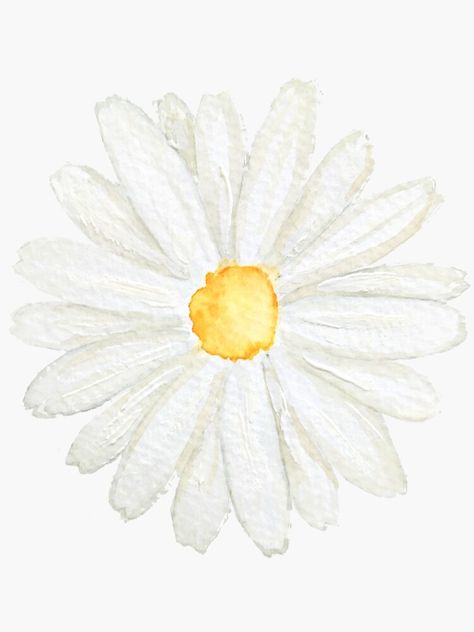 Easy Chalk Drawings, Daisy Flower Drawing, Daisy Watercolor, Watercolor Simple, Daisy Drawing, Daisy Art, Daisy Painting, Watercolor Stickers, Watercolor Flower Art