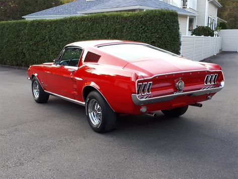 Mustang Fastback 67, 68 Mustang Fastback, 67 Ford Mustang, 68 Mustang, Truck Accessories Ford, Concept Cars Vintage, Ford Mustang Shelby Cobra, 67 Mustang, Diesel Trucks Ford