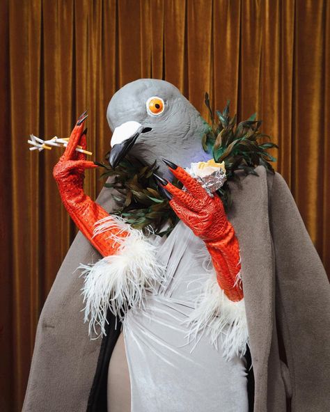 Sasha Velour on Instagram: "Just another day in New York… 🐦🗽🚬 #cloaca 📸 @mettieostrowski" Pigeon, Pigeon Costume, Sasha Velour, What It Takes, Another Day, Nerve, The Bar, In New York, New York