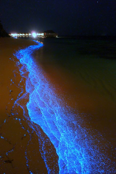 Maldives‎ blue sand Ocean Of Stars, Maldives Beach, Maldives Island, Tapeta Galaxie, Foto Tips, Destination Voyage, Alam Yang Indah, Alam Semula Jadi, Pretty Places