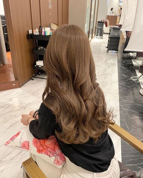 Chestnut Hair Color Brown, Honey Brown Hair Latina, Korean Hair Brown, Light Hazelnut Brown Hair, Summer Light Brown Hair, Natural Light Brown Hair Color, Light Brown Caramel Hair, Nutmeg Hair Color, Brown Chocolate Hair Color