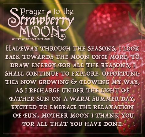 Prayer for the Strawberry moon June Full Moon, Cyclical Living, Full Moon June, Butterflies Tattoos, Spiritual Learning, Full Strawberry Moon, Mother Moon, The White Witch, Moon Magick