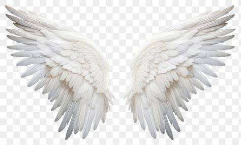 Angel Wings Images, Wing Png, Fantasy Png, Png Angel, Angel Png, Creative Logo Design Art, Angel Wings Png, Wings Png, Digital Journaling