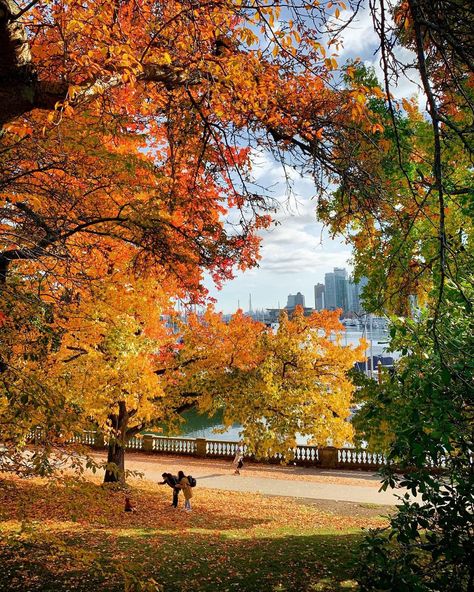 Rebecca Bollwitt’s Instagram photo: “It was the perfect day for a fall photo shoot with bébé 🍂🍁 #Autumn #StanleyPark #Vancouver #Family #VeryVancouver @inside_vancouver…” Vancouver Fall Aesthetic, Fall In Vancouver Bc, Vancouver Autumn, Fall Vancouver, Vancouver Aesthetic, Vancouver Lifestyle, Fall Proposal, Canada Fall, Fall Photo Shoot