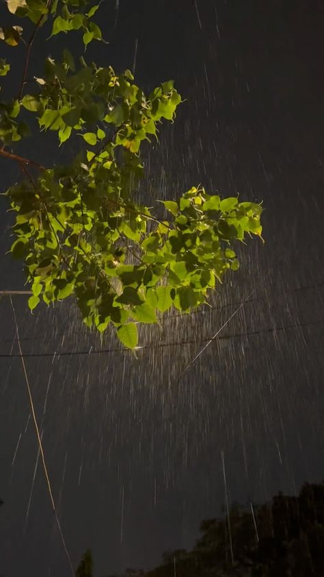 Barish Hd Image, Barish Chai Pics, Nature In Rain, Mumbai Rain Night, Baarish Aesthetic Pic, Night Baarish Snap, बारिश Pic, Aesthetic Rain Photos, Mansoon Rain Photography Feelings