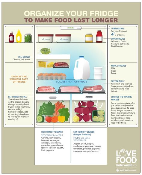 Food Prep Fridge Organization, Things You Should Always Have In Your Fridge, Organisation, Essen, How To Organise Fridge, Refrigerator Storage Times, Fridge Organization Chart, Proper Food Storage In Fridge, Storing Food In Fridge