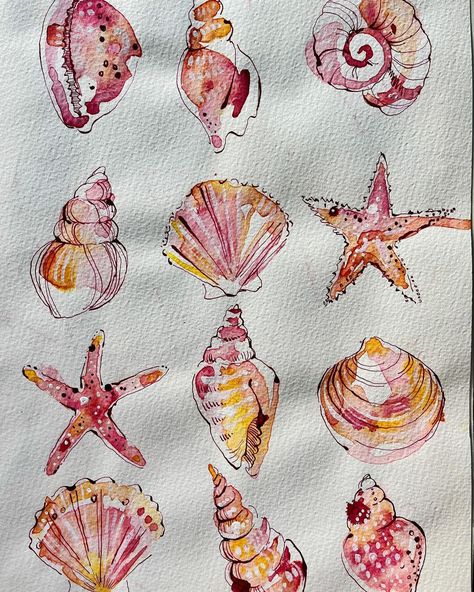 Ohn Mar Win | #throwbackthursday another favourite piece of mine are these sea shells from early 2021. It’s a favourite way of working - loose… | Instagram Ohn Mar Win, Loose Watercolour, Shell Artwork, Beachy Art, Moleskine Sketchbook, Seashell Painting, Watercolor Paintings For Beginners, Watercolor Sea, Summer Painting