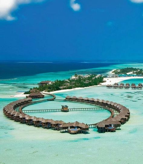 Maldivas Holiday Places, Honeymoon Destinations, Water Bungalow, Exotic Vacations, Honeymoon Places, Honeymoon Resorts, Overwater Bungalows, Romantic Honeymoon, Romantic Vacations